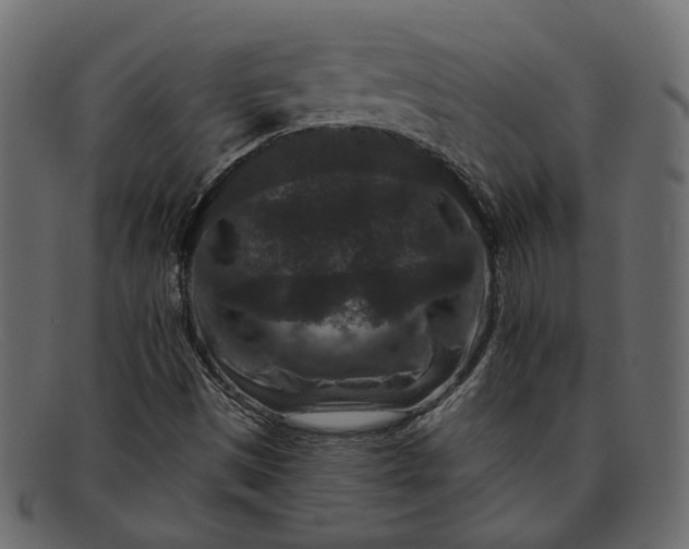 X0000091931497200709191349