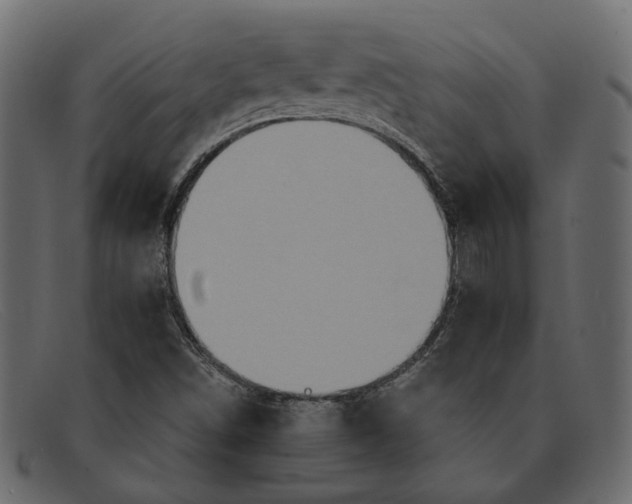 X0000091931498200709191349