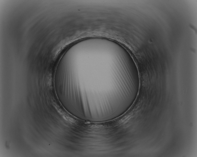 X0000091931499200709191349