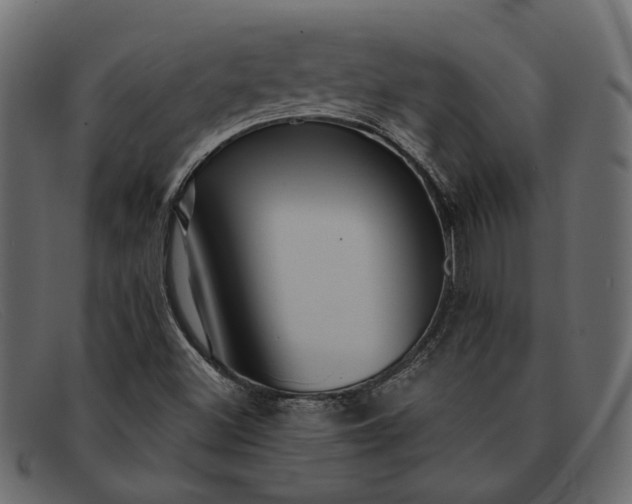 X0000091931500200709191349