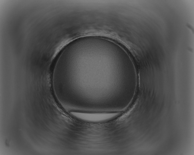 X0000091931501200709191349