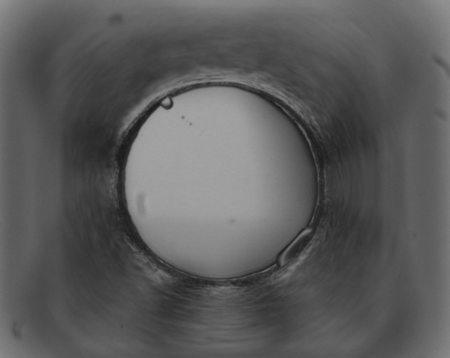 X0000091931502200709191349