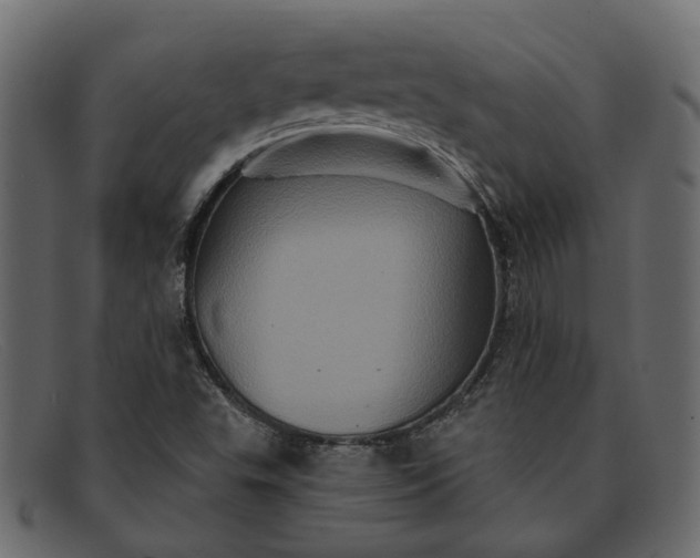 X0000091931503200709191349