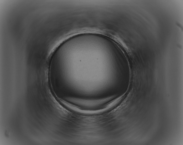 X0000091931504200709191349