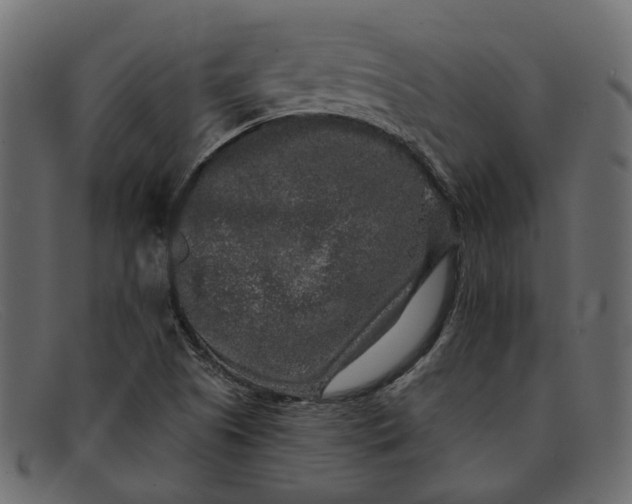 X0000091931505200709191349