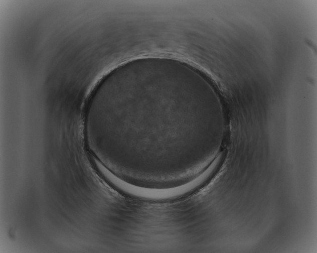 X0000091931506200709191349