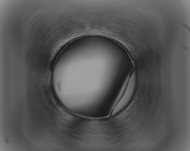 X0000091931507200709191349