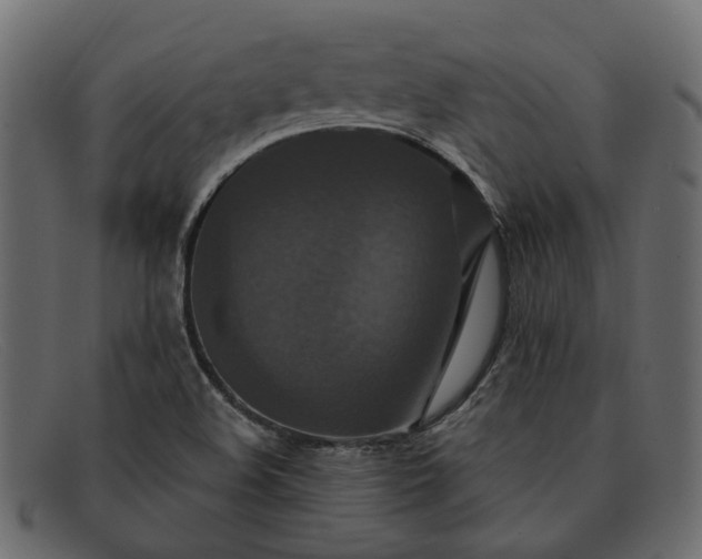 X0000091931508200709191349