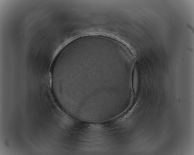 X0000091931509200709191349