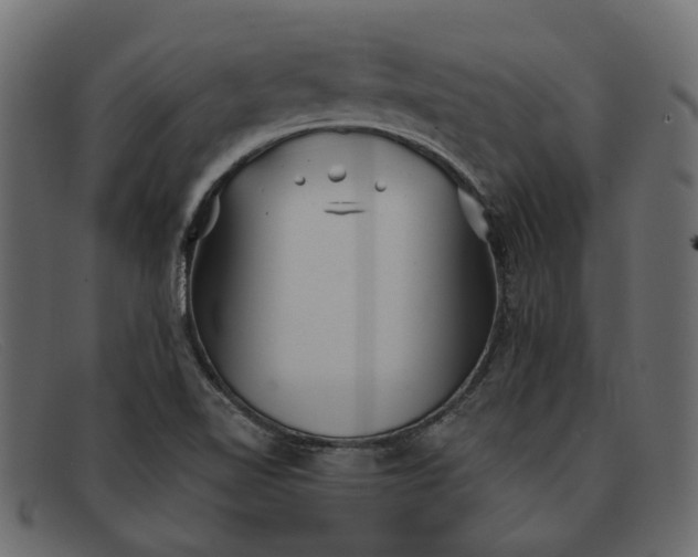 X0000091931510200709191349