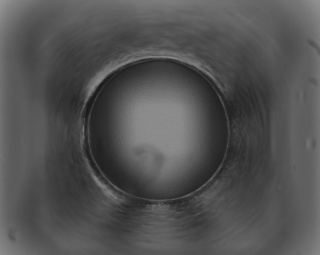 X0000091931511200709191349