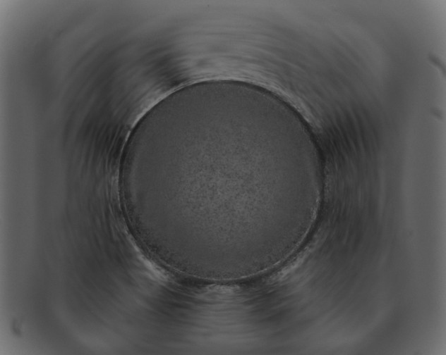 X0000091931513200709191349