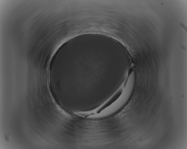 X0000091931515200709191349