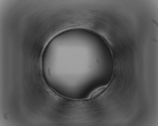 X0000091931516200709191349