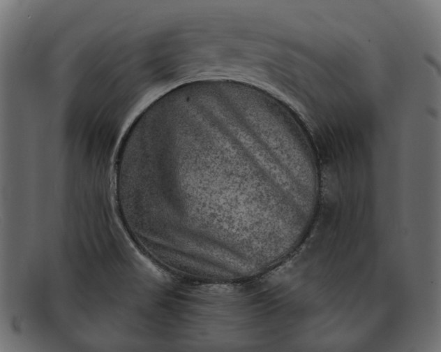 X0000091931517200709191349