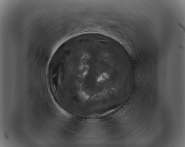 X0000091931519200709191349