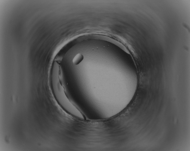 X0000091931520200709191349