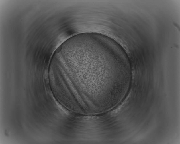 X0000091931521200709191349