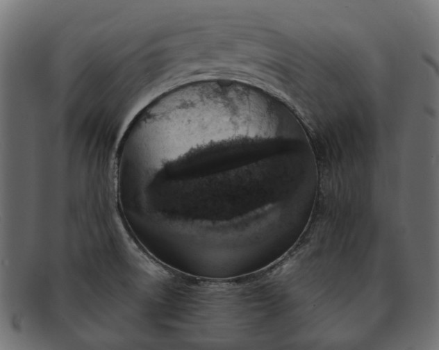 X0000091931522200709191349