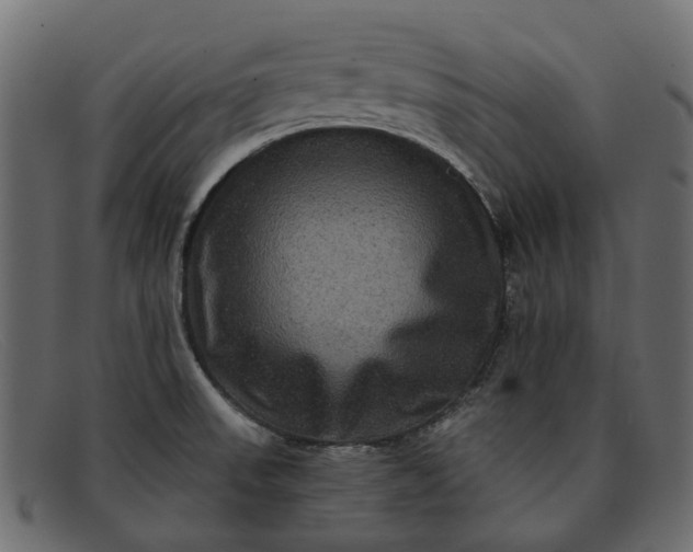 X0000091931523200709191349