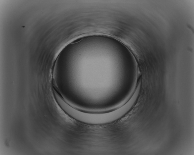 X0000091931524200709191349
