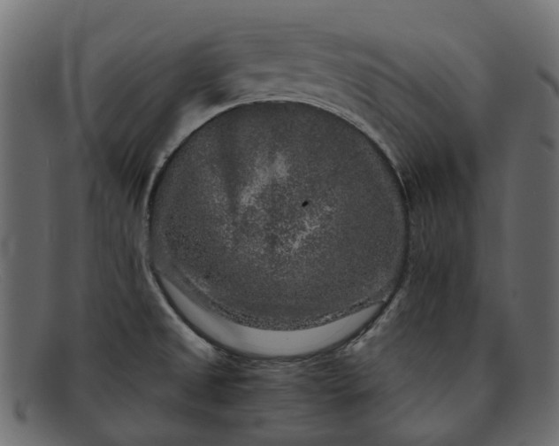 X0000091931525200709191349