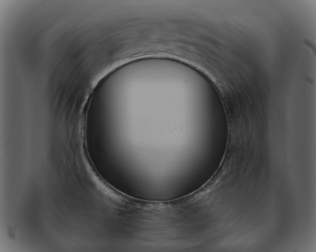 X0000091931526200709191349