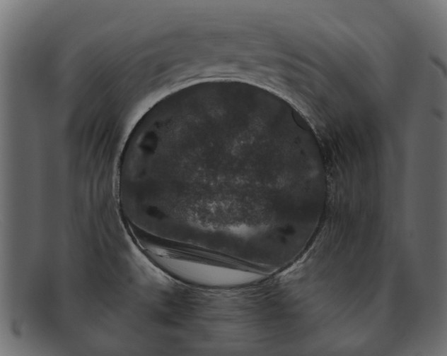X0000091931527200709191349