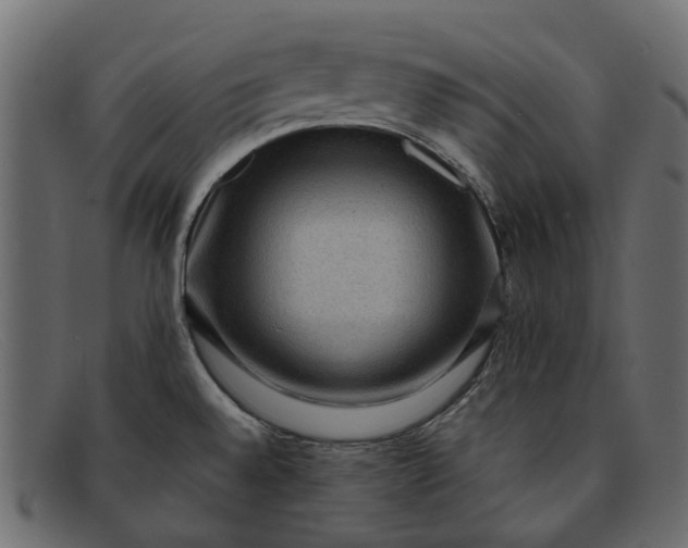 X0000091931528200709191349