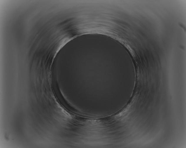 X0000091931529200709191349