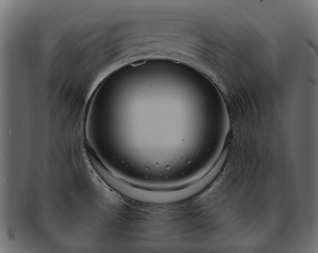 X0000091931530200709191349