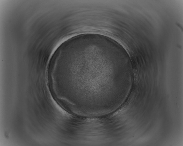 X0000091931531200709191349