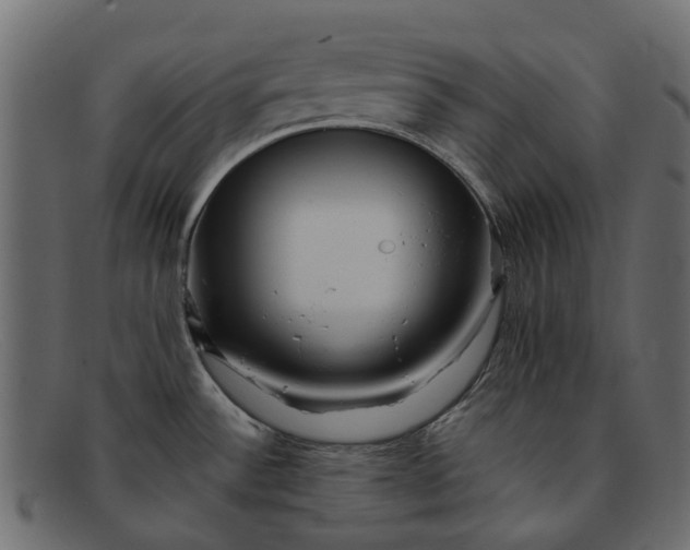 X0000091931532200709191349