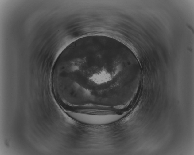 X0000091931533200709191349