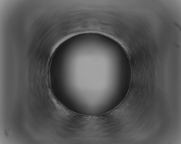 X0000091931534200709191349