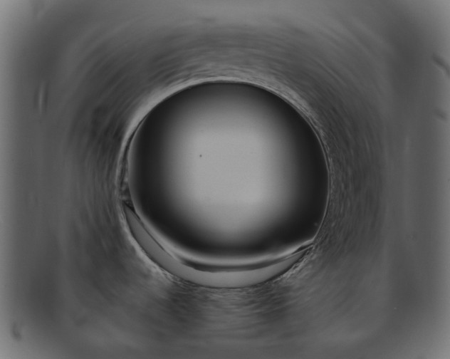 X0000091931536200709191349