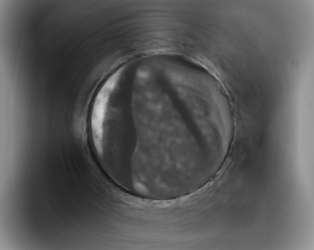 X0000091930002200709261922