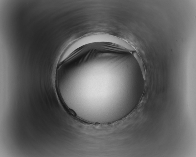 X0000091930003200709261922