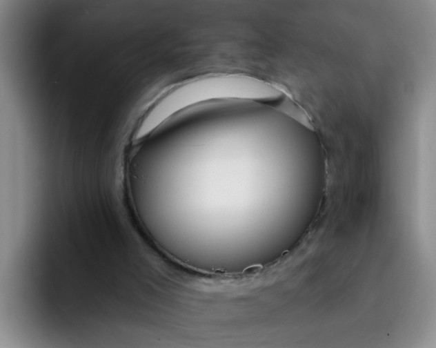 X0000091930005200709261922