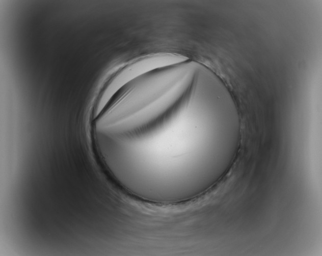 X0000091930006200709261922