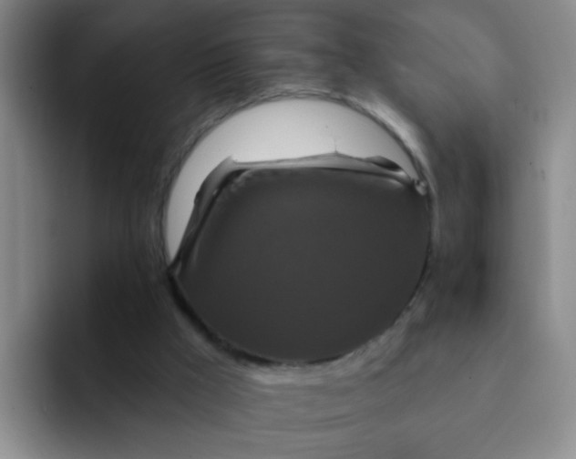 X0000091930009200709261922