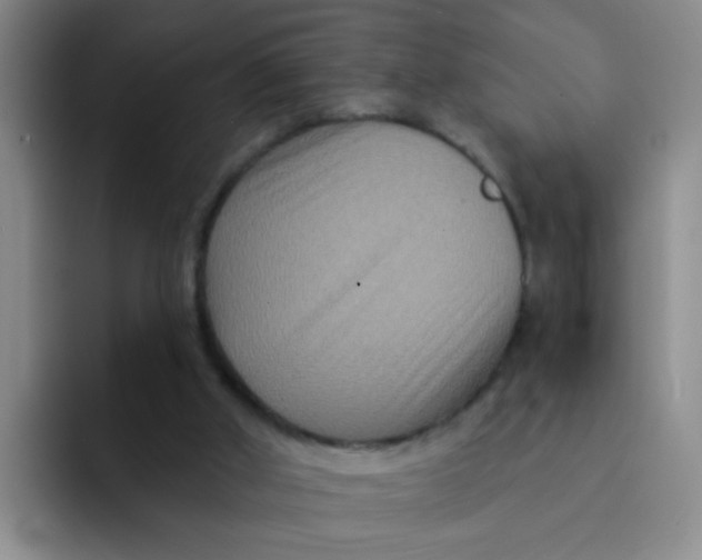 X0000091930010200709261922