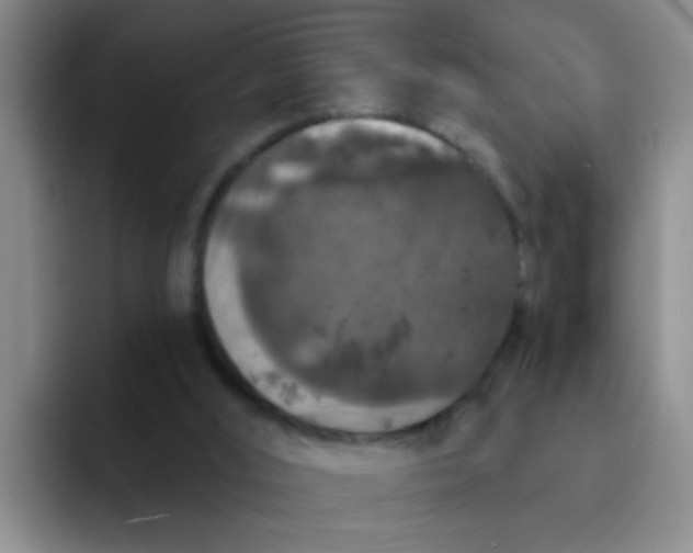 X0000091930012200709261922