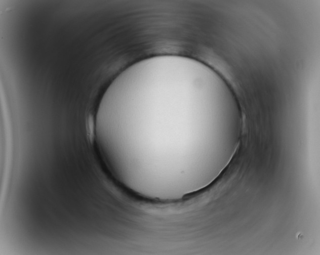 X0000091930013200709261922