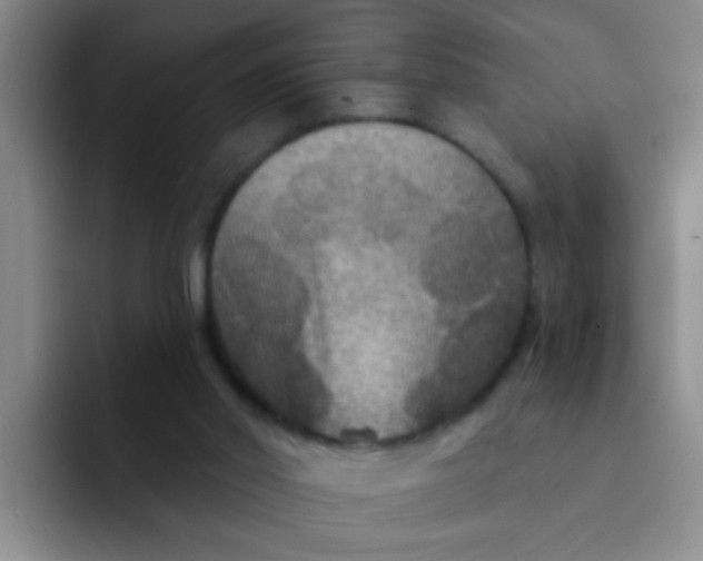 X0000091930014200709261922