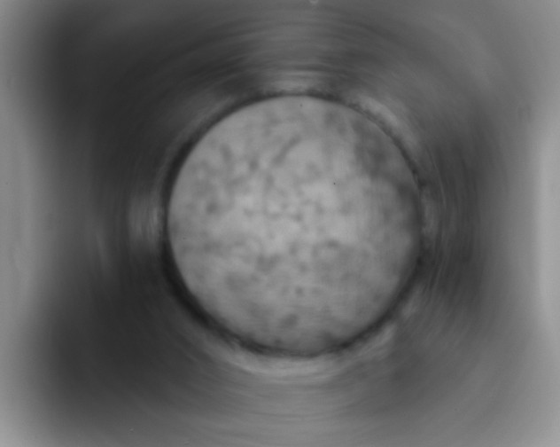 X0000091930016200709261922