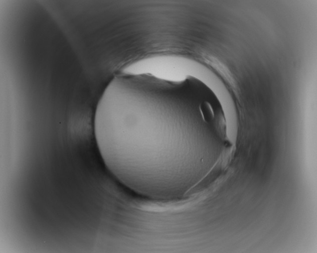 X0000091930017200709261922