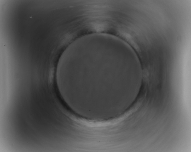 X0000091930018200709261922