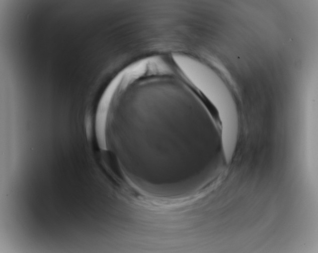 X0000091930019200709261922
