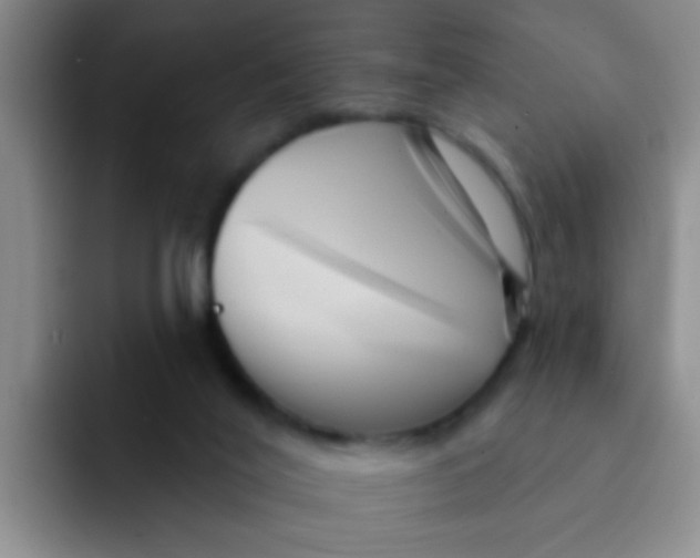 X0000091930020200709261922